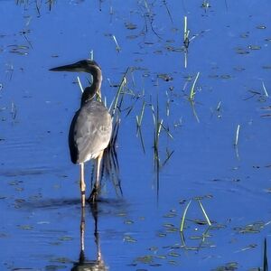 NOT FOR SALE NEW BUNDLE FOR @valsdailyfinds